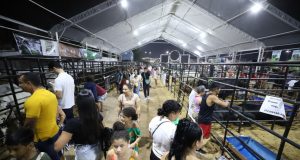Governo do Amazonas inaugura 45ª Expoagro e novo Parque de Exposição Multiuso, nesta terça-feiraO evento que está de casa nova, vai contar com atrações regionais e nacionais, praça de alimentação, exposições de animais e maquinários agrícolas, cursos e entre outros Governo do Amazonas inaugura 45ª Expoagro e novo Parque de Exposição Multiuso, nesta terça-feira