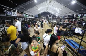 Governo do Amazonas inaugura 45ª Expoagro e novo Parque de Exposição Multiuso, nesta terça-feiraO evento que está de casa nova, vai contar com atrações regionais e nacionais, praça de alimentação, exposições de animais e maquinários agrícolas, cursos e entre outros Governo do Amazonas inaugura 45ª Expoagro e novo Parque de Exposição Multiuso, nesta terça-feira