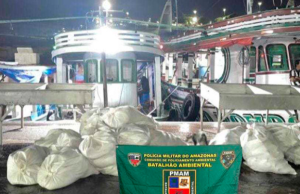 Polícia Militar apreende mais de uma tonelada de pescado ilegal na Feira da PanairPeixes estavam em período de defeso e foram doados para instituições filantrópicas. Polícia Militar apreende mais de uma tonelada de pescado ilegal na Feira da Panair