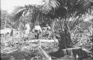 ‘Amazonas, O Maior Rio do Mundo’: o primeiro longa-metragem filmado na Amazônia volta a Manaus ‘Amazonas, O Maior Rio do Mundo’: o primeiro longa-metragem filmado na Amazônia volta a Manaus