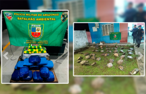 Base Tiradentes: PMAM apreende 20 quilos de drogas e prende 3 pessoas em Jutaí Base Tiradentes: PMAM apreende 20 quilos de drogas e prende 3 pessoas em Jutaí