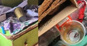 Em Manaus, irmãos de 7 e 10 anos são resgatados em situação de abandonoA mãe das crianças, que não teve a identidade divulgada, viajou para o Pará há dias e deixou os filhos sozinhos em casa. Em Manaus, irmãos de 7 e 10 anos são resgatados em situação de abandono
