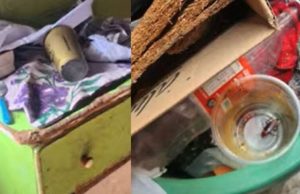 Em Manaus, irmãos de 7 e 10 anos são resgatados em situação de abandonoA mãe das crianças, que não teve a identidade divulgada, viajou para o Pará há dias e deixou os filhos sozinhos em casa. Em Manaus, irmãos de 7 e 10 anos são resgatados em situação de abandono