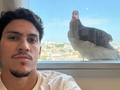 Urubu visita atacante do Flamengo em Manaus e torcedores comemoram Urubu visita atacante do Flamengo em Manaus e torcedores comemoram