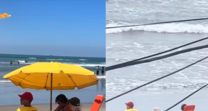 Vídeo: avós de salva-vidas viralizam por almoçarem todos os dias com ele na praia Vídeo: avós de salva-vidas viralizam por almoçarem todos os dias com ele na praia