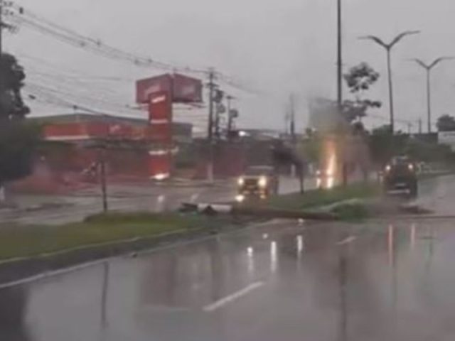 Vídeo: poste é arrancado após carro invadir canteiro central em avenida de Manaus