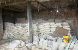 20 toneladas de farinha falsificada: operação da Visa Manaus retira produto perigoso do mercado 20 toneladas de farinha falsificada: operação da Visa Manaus retira produto perigoso do mercado