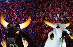 Boi Caprichoso e Boi Garantido fazem história no Festival de Curitiba Boi Caprichoso e Boi Garantido fazem história no Festival de Curitiba