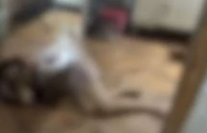 Grávida de 2 meses é executada em ManausO crime aconteceu na frente do filho de 3 anos e do namorado. Grávida de 2 meses é executada em Manaus