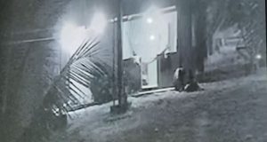 Vídeo: homem mata caseiro a tiros e golpes de terçado Vídeo: homem mata caseiro a tiros e golpes de terçado