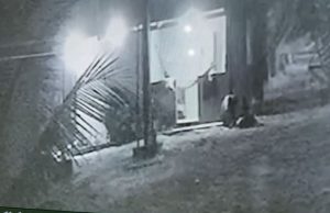 Vídeo: homem mata caseiro a tiros e golpes de terçado Vídeo: homem mata caseiro a tiros e golpes de terçado