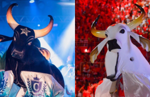 Bois Caprichoso e Garantido assinam com à Rede Globo e confirmam show no BBB 24 Bois Caprichoso e Garantido assinam com a Globo e confirmam show no BBB 24