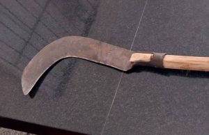 Homem invade escola com foice e causa pânico em Borba Homem invade escola com foice e causa pânico em Borba