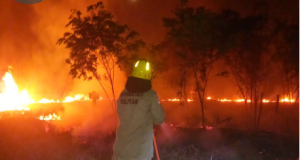 Nas últimas 24 horas, Corpo de Bombeiros combateu 70 focos de incêndio em ManicoréMunicípio integra a Operação Aceiro, que intensifica combate aos incêndios no interior. Nas últimas 24 horas, Corpo de Bombeiros combateu 70 focos de incêndio em Manicoré