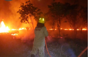 Nas últimas 24 horas, Corpo de Bombeiros combateu 70 focos de incêndio em Manicoré Nas últimas 24 horas, Corpo de Bombeiros combateu 70 focos de incêndio em Manicoré