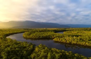 5 de Setembro: orgulho e compromisso com o futuro do Amazonas