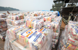 Governo do Amazonas divulga boletim sobre a estiagem no estado, neste domingo Governo do Amazonas divulga boletim sobre a estiagem no estado, neste domingo