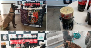 Polícia apreende 18kg de cocaína escondidos em garrafas de refrigeranteUm homem, que confessou ser dono do material ilícito, foi preso. Polícia apreende 18kg de cocaína escondidos em garrafas de refrigerante