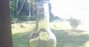 Sangue de dragão: Idam acompanha e capacita extrativistas envolvidos na extração da resinaManicoré e Humaitá, na calha do rio Madeira, têm grande potencial para extração e comercialização da matéria-prima. Sangue de dragão: Idam acompanha e capacita extrativistas envolvidos na extração da resina