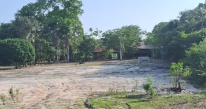 Museu do Seringal fecha para visitação em virtude da severa estiagem que afeta o AmazonasCom acesso exclusivo por via fluvial, o espaço cultural ficará fechado temporariamente a partir de 16 de setembro. Museu do Seringal fecha para visitação em virtude da severa estiagem que afeta o Amazonas