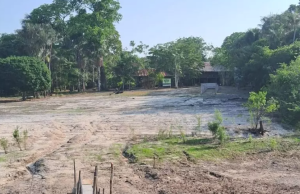 Museu do Seringal fecha para visitação em virtude da severa estiagem que afeta o AmazonasCom acesso exclusivo por via fluvial, o espaço cultural ficará fechado temporariamente a partir de 16 de setembro. Museu do Seringal fecha para visitação em virtude da severa estiagem que afeta o Amazonas