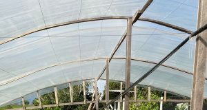 Cearazin Semisera propõe apoio à agricultura familiar e desburocratização do crédito para produtores orgânicos