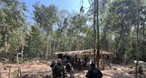 Crime ambiental: 21 pessoas são presas/detidas em três etapas da Operação Tamoiotatá na Região Metropolitana de ManausPenas podem chegar de um a cinco anos para crimes graves como devastação de áreas protegidas ou a fauna ameaçada de extinção. Crime ambiental: 21 pessoas são presas/detidas em três etapas da Operação Tamoiotatá na Região Metropolitana de Manaus