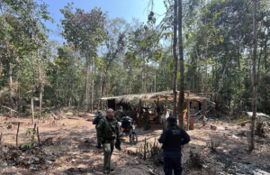 Crime ambiental: 21 pessoas são presas/detidas em três etapas da Operação Tamoiotatá na Região Metropolitana de ManausPenas podem chegar de um a cinco anos para crimes graves como devastação de áreas protegidas ou a fauna ameaçada de extinção. Crime ambiental: 21 pessoas são presas/detidas em três etapas da Operação Tamoiotatá na Região Metropolitana de Manaus