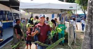 Sepror busca fortalecer agricultura familiar com entrega mudas a produtores rurais de ManausForam repassadas mudas de citros, café, pitaya, cacau e cupuaçu. Sepror busca fortalecer agricultura familiar com entrega mudas a produtores rurais de Manaus