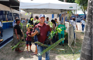Sepror busca fortalecer agricultura familiar com entrega mudas a produtores rurais de ManausForam repassadas mudas de citros, café, pitaya, cacau e cupuaçu. Sepror busca fortalecer agricultura familiar com entrega mudas a produtores rurais de Manaus