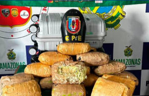 Base Arpão 1: Cão policial encontra 29 quilos de oxi escondidos em malasAs drogas apreendidas foram avaliadas em R$ 300 mil. Base Arpão 1: Cão policial encontra 29 quilos de oxi escondidos em malas