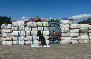 Bases Flutuantes triplicam produtividade em 2024Em 2024, as ações foram fortalecidas com a chegada da Base Arpão 2 e Paulo Pinto Nery. Bases Flutuantes triplicam produtividade em 2024