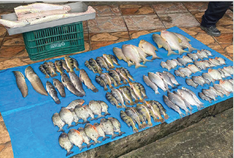 Polícia Civil prende dona de frigorífico por maus-tratos a animais e venda de pescado em período de defeso