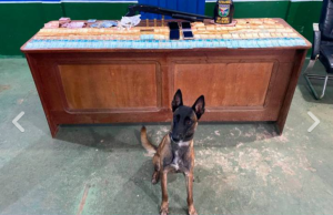 Polícia captura sete foragidos da Justiça, em ações na capital e no interiorDois dos foragidos capturados possuíam mandados de prisão expedidos pela Justiça de Rondônia. Polícia captura sete foragidos da Justiça, em ações na capital e no interior