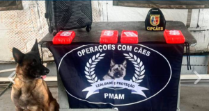 Base Arpão: PMAM apreende 5kg de cocaína com auxílio de cão policial, em CoariA droga, apontada pela cadela policial Havana, estava escondida dentro de um mala. Base Arpão: PMAM apreende 5kg de cocaína com auxílio de cão policial, em Coari