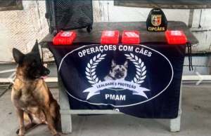 Base Arpão: PMAM apreende 5kg de cocaína com auxílio de cão policial, em CoariA droga, apontada pela cadela policial Havana, estava escondida dentro de um mala. Base Arpão: PMAM apreende 5kg de cocaína com auxílio de cão policial, em Coari