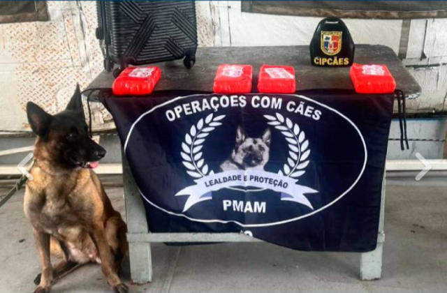 Base Arpão PMAM apreende 5kg de cocaína com auxílio de cão policial, em Coari Base Arpão: PMAM apreende 5kg de cocaína com auxílio de cão policial, em Coari