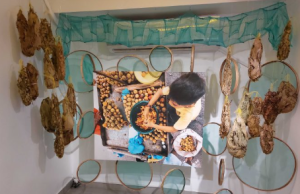 Energia do gás natural impulsiona a cultura amazonenseCigás é apoiadora de mais novo projeto do Centro Cultural Casarão de Ideias. Energia do gás natural impulsiona a cultura amazonense