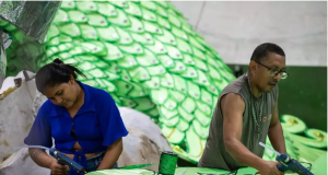 Carnaval na Floresta 2025: Geração de emprego e renda é realidade nos barracões das escolas de sambaEscultores, pintores e aderecistas são alguns dos profissionais empregados para a confecção de carros alegóricos. Carnaval na Floresta 2025: Geração de emprego e renda é realidade nos barracões das escolas de samba