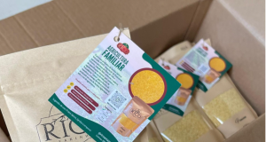 Projeto apoiado pelo Governo do Amazonas estimula práticas agrícolas sustentáveis para produção de farinha Projeto apoiado pelo Governo do Amazonas estimula práticas agrícolas sustentáveis para produção de farinha