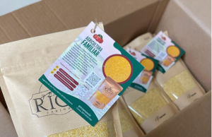 Projeto apoiado pelo Governo do Amazonas estimula práticas agrícolas sustentáveis para produção de farinha Projeto apoiado pelo Governo do Amazonas estimula práticas agrícolas sustentáveis para produção de farinha