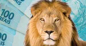 IR 2025: veja quais são os documentos necessários e como evitar errosInconsistências na declaração podem levar a cair na malha fina. IR 2025