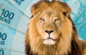 IR 2025: veja quais são os documentos necessários e como evitar errosInconsistências na declaração podem levar a cair na malha fina. IR 2025