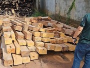 Madeireiras irregulares em Manacapuru são multadas em mais de R$ 1 milhão durante ação do Ipaam e Batalhão Ambiental Madeireiras irregulares em Manacapuru são multadas em mais de R$ 1 milhão durante ação do Ipaam e Batalhão Ambiental