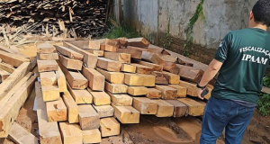 Madeireiras irregulares em Manacapuru são multadas em mais de R$ 1 milhão durante ação do Ipaam e Batalhão AmbientalEquipamentos também foram apreendidos durante fiscalização. Madeireiras irregulares em Manacapuru são multadas em mais de R$ 1 milhão durante ação do Ipaam e Batalhão Ambiental
