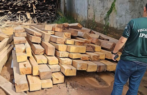 Madeireiras irregulares em Manacapuru são multadas em mais de R$ 1 milhão durante ação do Ipaam e Batalhão AmbientalEquipamentos também foram apreendidos durante fiscalização. Madeireiras irregulares em Manacapuru são multadas em mais de R$ 1 milhão durante ação do Ipaam e Batalhão Ambiental