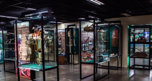 Museu do Homem do Norte propõe imersão no cotidiano da população amazônicaEspaço completa 40 anos de atividades em Manaus. Museu do Homem do Norte propõe imersão no cotidiano da população amazônica