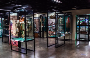 Museu do Homem do Norte propõe imersão no cotidiano da população amazônicaEspaço completa 40 anos de atividades em Manaus. Museu do Homem do Norte propõe imersão no cotidiano da população amazônica