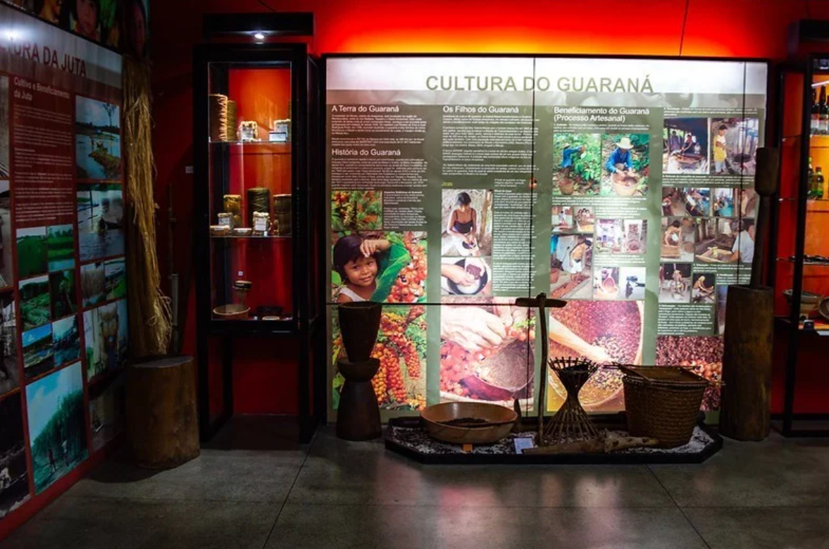 Museu do Homem do Norte propõe imersão no cotidiano da população amazônica