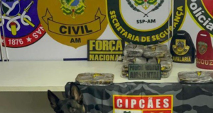 Base Arpão 3: Cadela policial encontra 13 quilos de coc@ína escondido em armário de embarcaçãoUm homem de 22 anos foi preso na ação. Base Arpão 3 Cadela policial encontra 13 quilos de coc@ína escondido em armário de embarcação